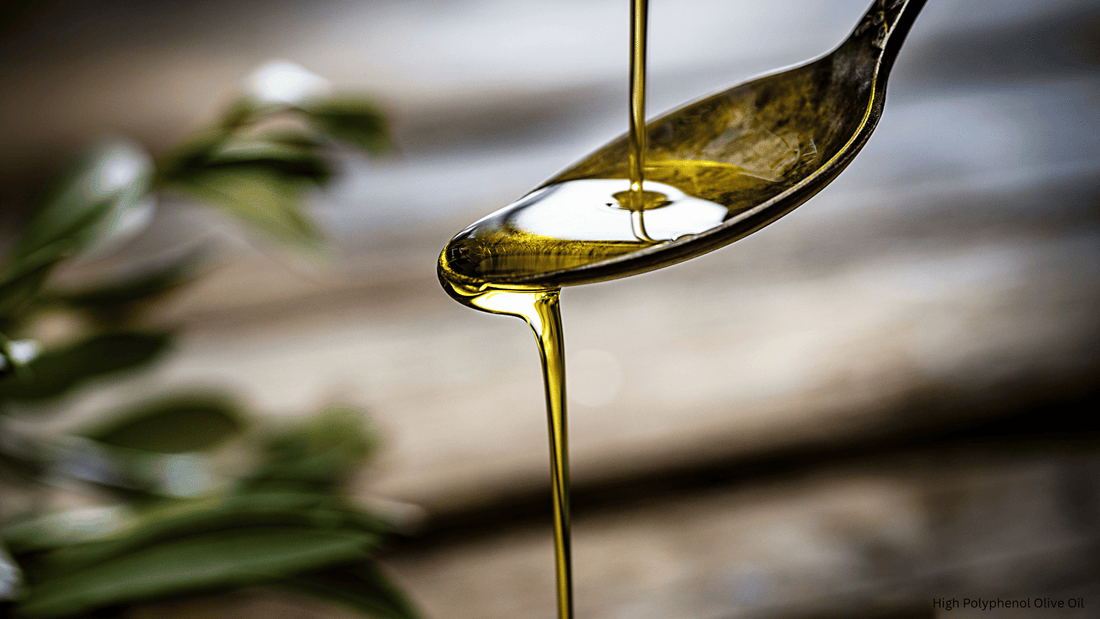 What Are Polyphenols in Olive Oil and Why Do They Matter?