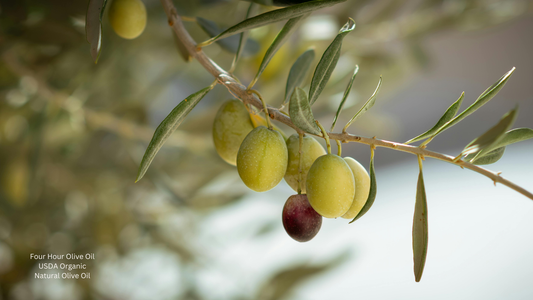 What is Natural Olive Oil
