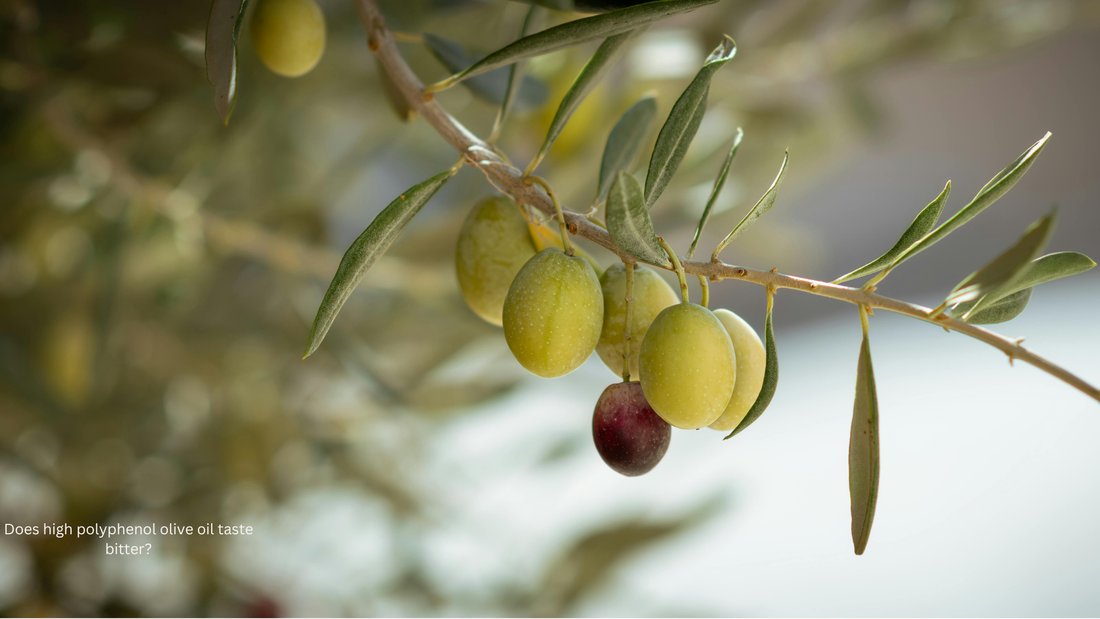 Does High Polyphenol Olive Oil Taste Bitter