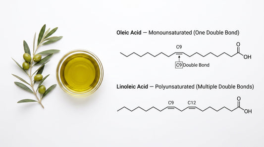 Molecular diagrams of oleic acid with one double bond and linoleic acid with two double bonds beside a bowl of extra virgin olive oil, illustrating why olive oil is more heat-stable than seed oils