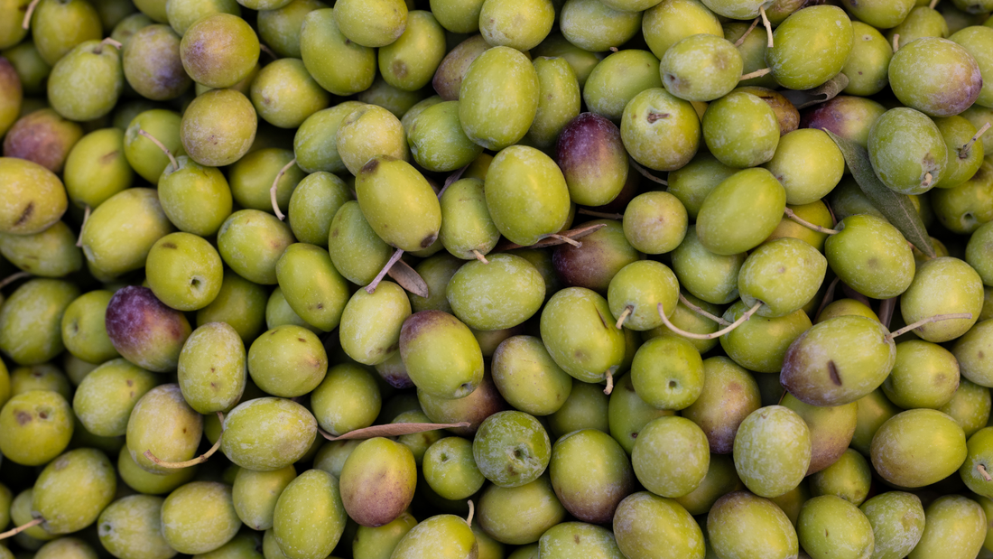 What Are the Health Benefits of Polyphenols in Olive Oil?